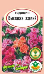 цв. одн. ГОДЕЦИЯ  ВЫСТАВКА  АЗАЛИЙ СМЕСЬ  / АГРО САД /